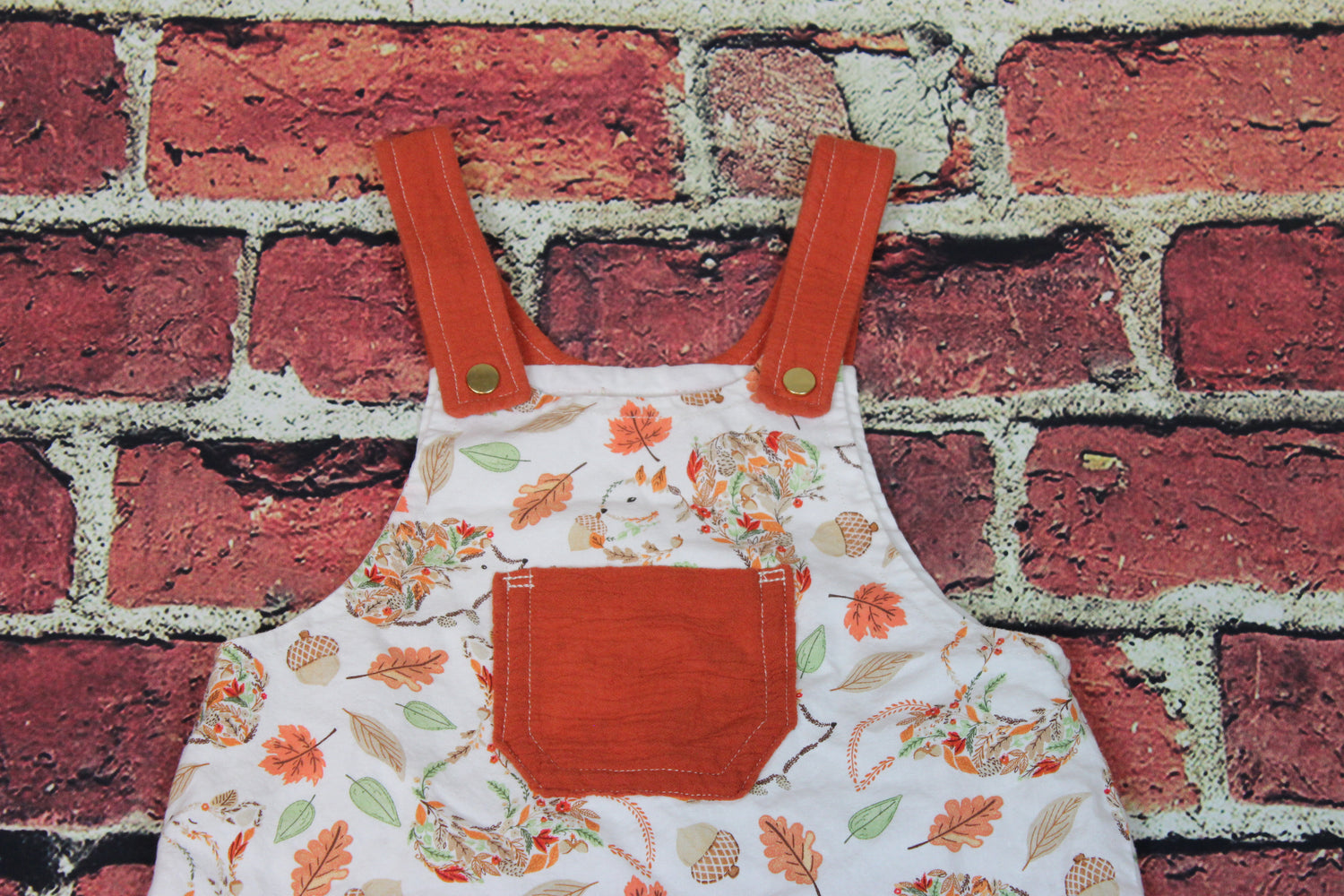 2T - Fall Animal Overalls