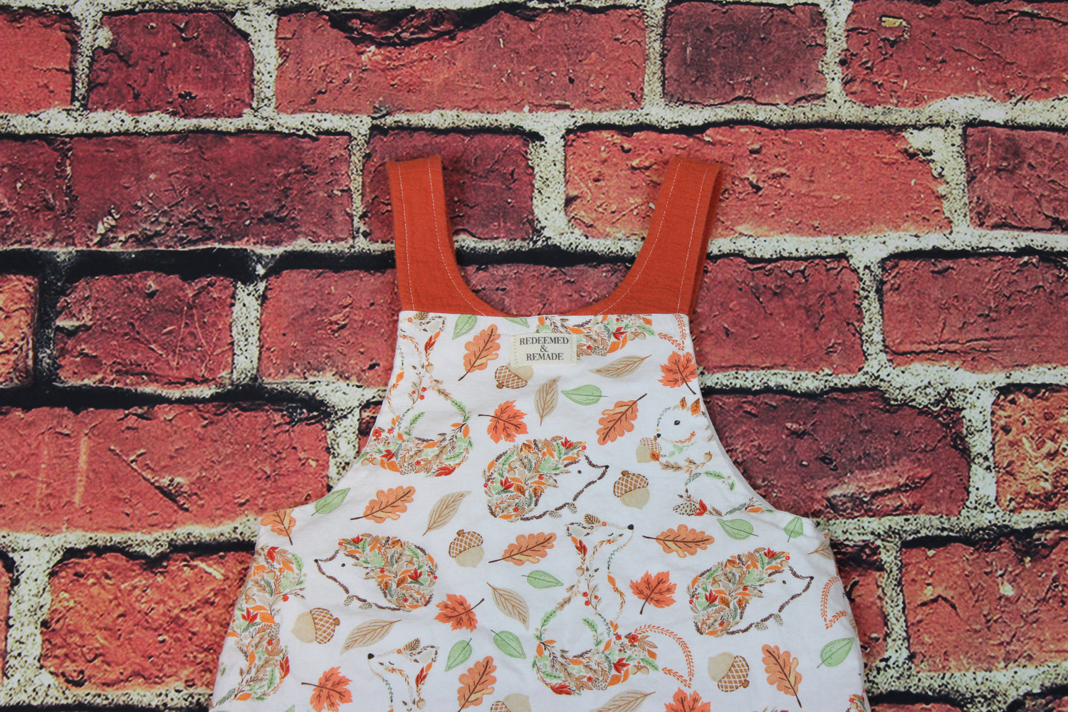 2T - Fall Animal Overalls