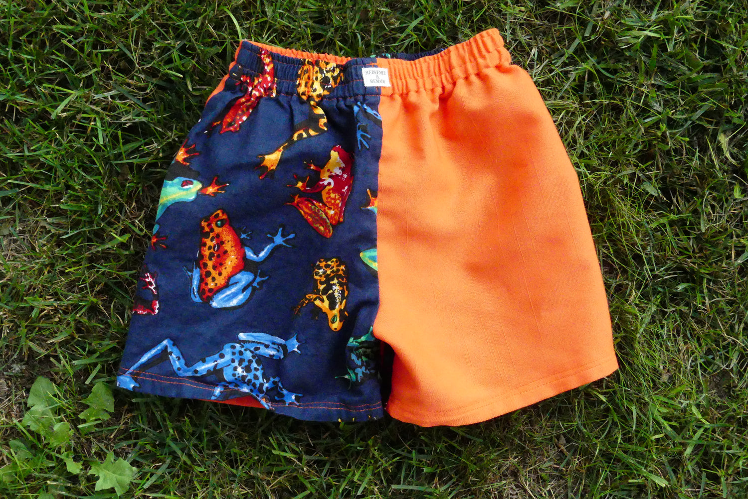 3T - Frog Colorblock Shorts
